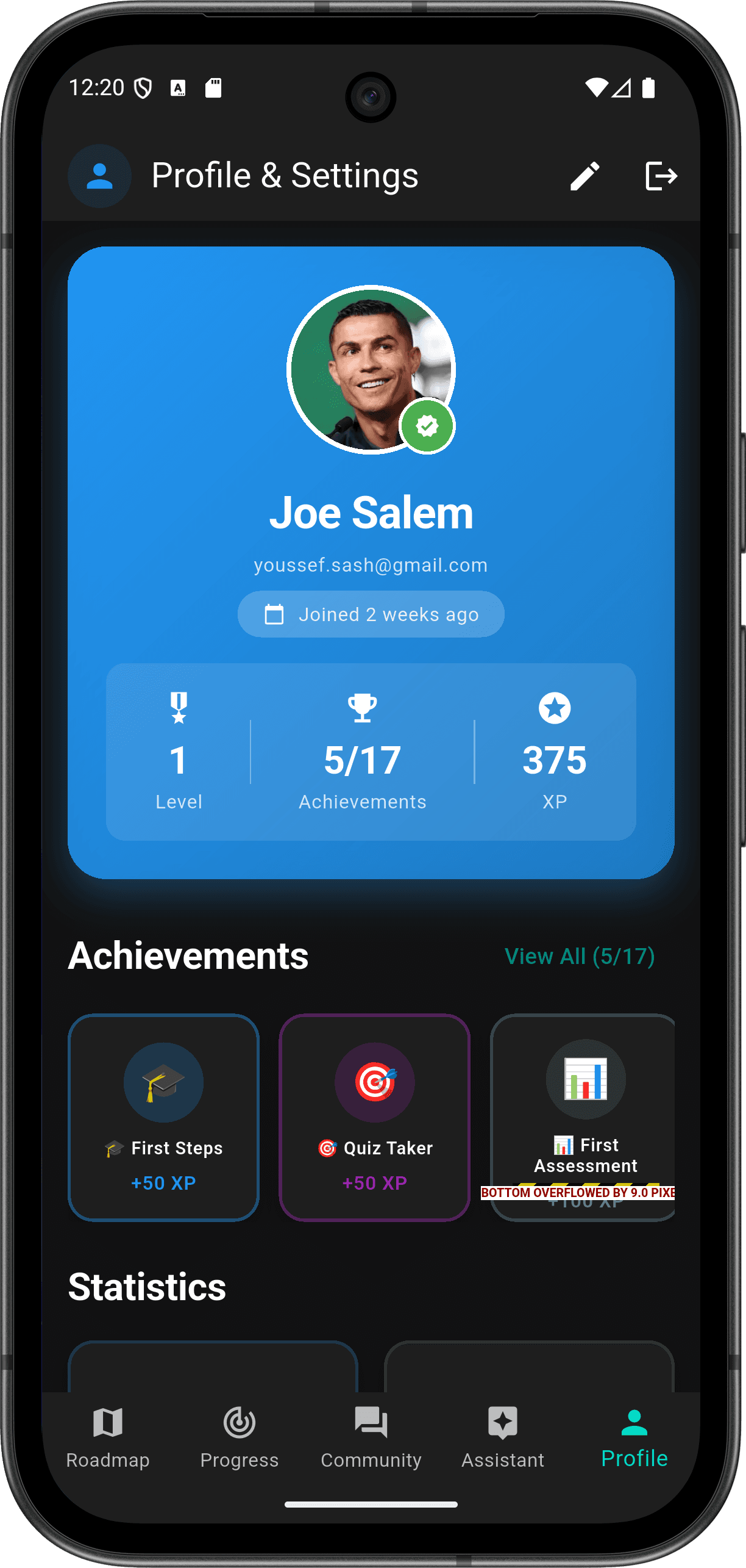 FlutterMate - Flutter Learning Companion: User Profile (profile screen)