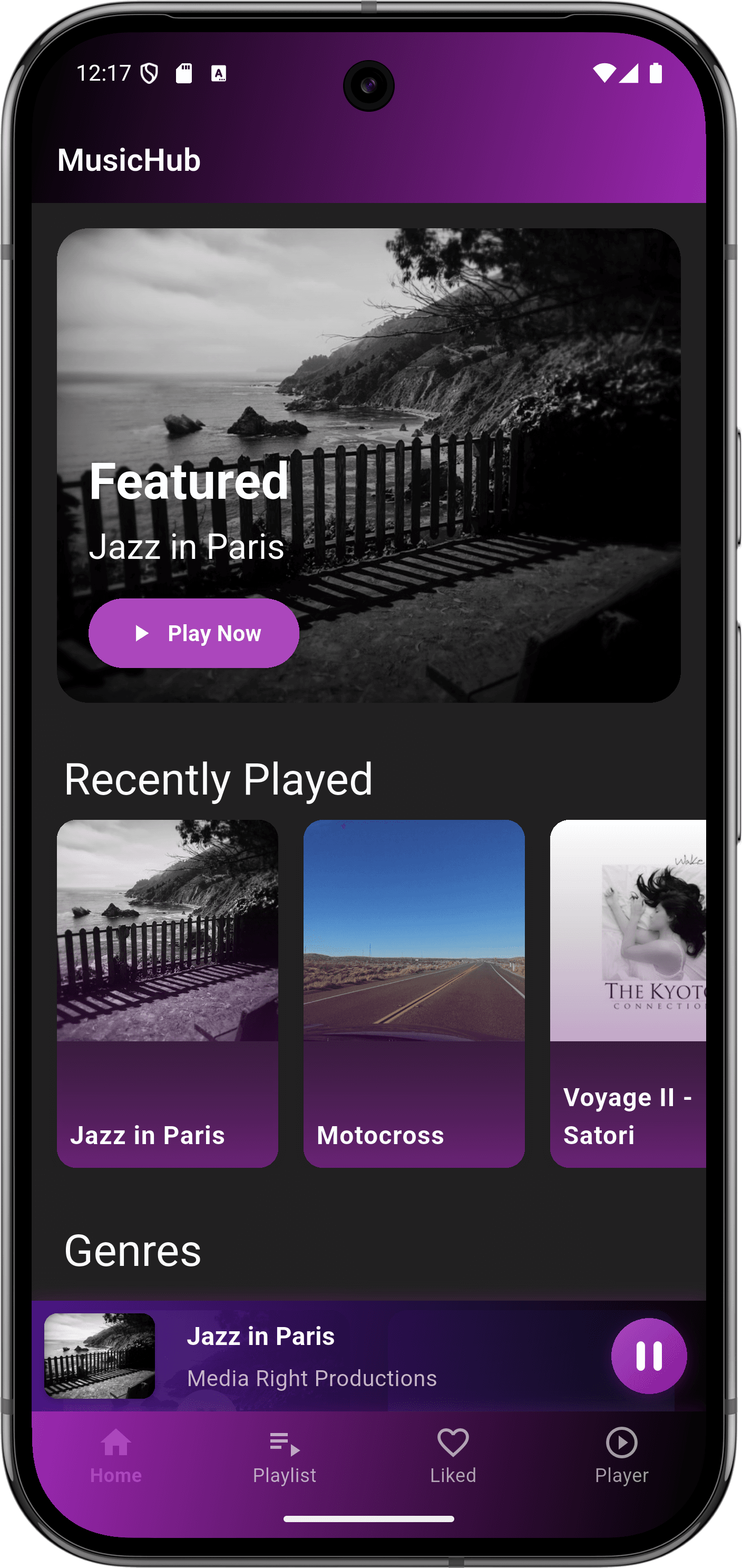 تطبيق مشغل موسيقى: واجهة التطبيق (home page)